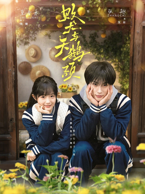败犬与天鹅颈（71集）短剧在哪里看