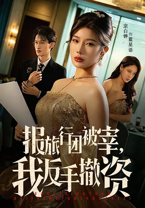 报旅行团被宰，我反手撤资（59集）短视频追剧推荐