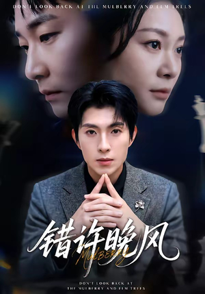 错许晚风（60集）免费观看全集
