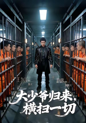 大少爷归来，横扫一切（80集）短剧越看越精彩