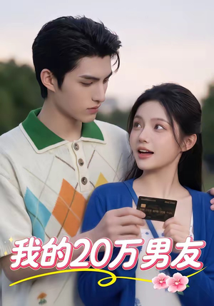 我的20万男友（30集）百度网盘在线看