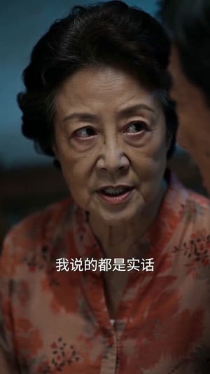 养老保卫战（30集）高清无码免费看