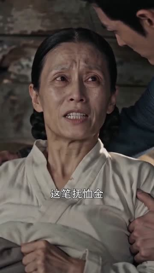 孤胆英雄归来（67集）第二季