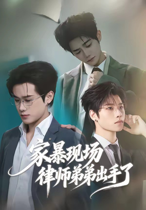 家暴现场律师弟弟出手了（30集）视频在线看