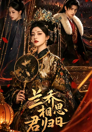 兰乔相思君归日（60集）常回家看看短剧