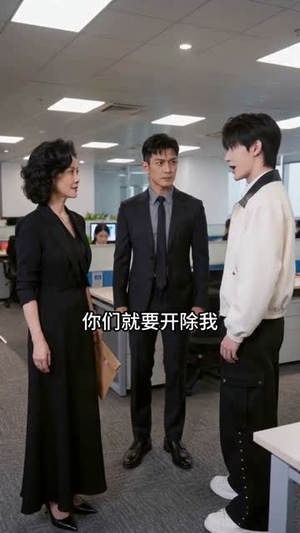 被开除当天，我入职千亿集团（40集）热门短剧推广