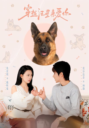 穿越汪星来爱你（62集）这部短剧太好看