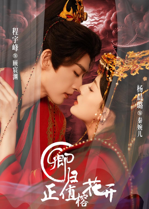 卿归正值榕花开（70集）短剧全集免费看