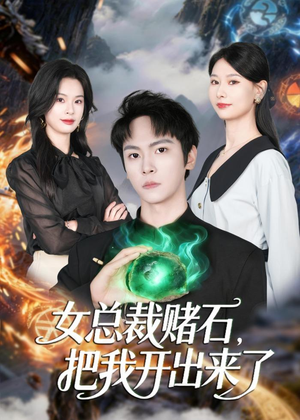 女总裁赌石，把我开出来了（76集）精彩连连免费看