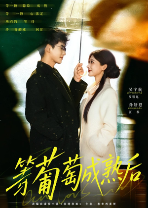 等葡萄成熟后（82集）短剧全集完整版