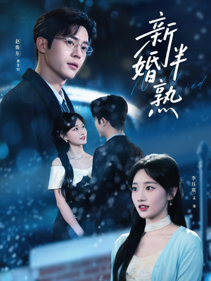 新婚半熟（68集）1-102集