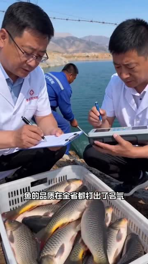 涨租?我连夜搬空鱼塘(51集) 涨租?我连夜搬空鱼塘(51集)短剧太好看