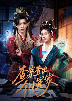 查案查出个小冤家（90集）太好看了短剧