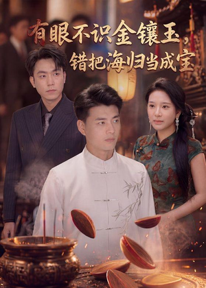有眼不识金镶玉错把海归当成宝（80集）看到了大结局