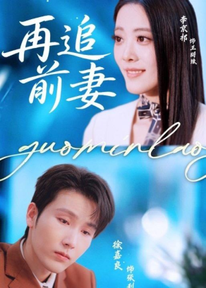 再追前妻（49集）360网盘观看