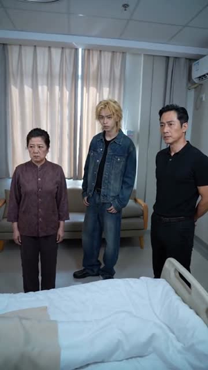 晚来的回响（41集）在线看免费版