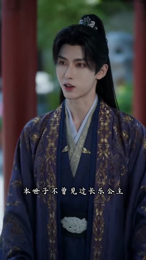 长乐惊华（60集）短剧太精彩