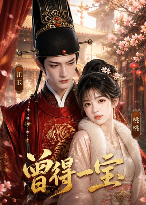 曾得一宝(19集) 曾得一宝(19集)热播短剧全集看