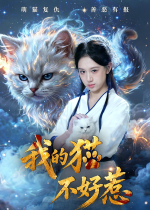 我的猫不好惹（42集）看到了大结局