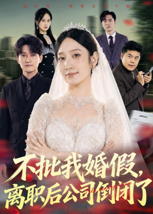 不批我婚假，离职后公司倒闭了（61集）百度网盘在线看