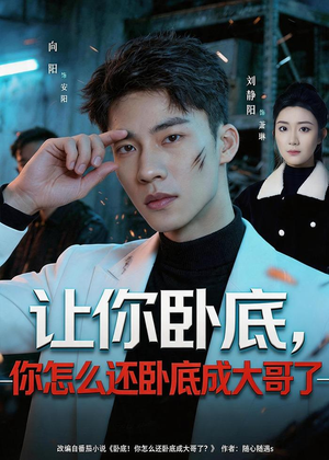 让你卧底,你怎么还卧成大哥了(80集) 让你卧底,你怎么还卧成大哥了(80集)好看短剧看不停