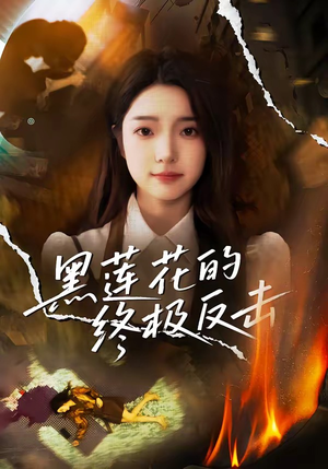 黑莲花的终极反击（60集）好看的国产短剧