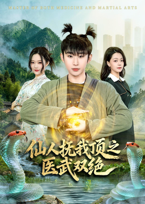 仙人抚我顶之医武双绝(66集) 仙人抚我顶之医武双绝(66集)百度网盘资源