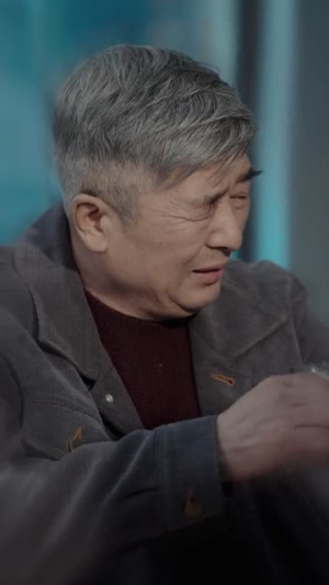 东北爱情往事2（91集）热门短剧在线看