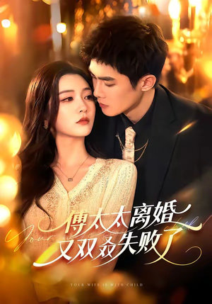 傅太太离婚又双叒失败了（92集）全集一次看完