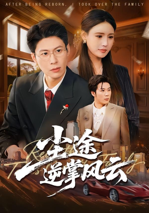 尘途逆掌风云（52集）大结局太过瘾了