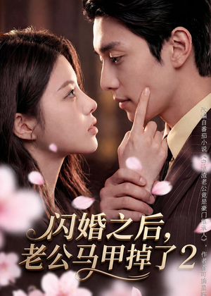 闪婚之后,老公马甲掉了2(82集) 闪婚之后,老公马甲掉了2(82集)热门短剧大全