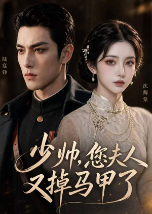 少帅,您夫人又掉马甲了(41集) 少帅,您夫人又掉马甲了(41集)百度网盘资源