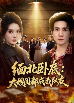 缅北卧底：大嫂团都成我队友（71集）短剧完整版免费