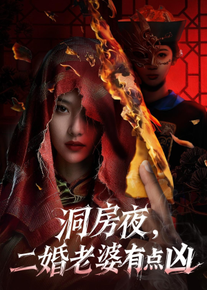 洞房夜，二婚老婆有点凶（66集）短剧演员排行榜