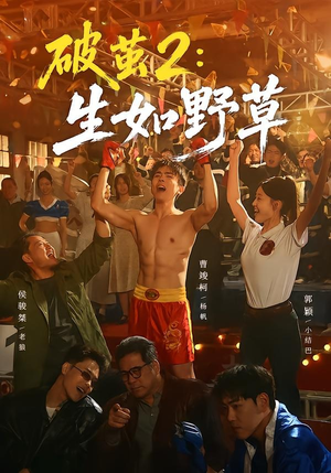 破茧2：生如野草（55集）全集都在这里了