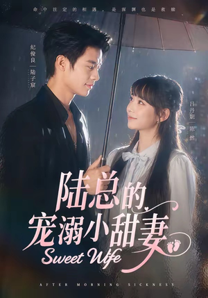 陆总的宠溺小甜妻（61集）怎么看全集