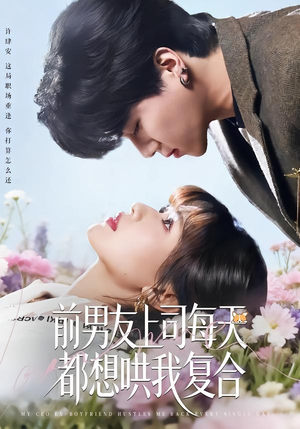 前男友上司每天都想哄我复合（77集）短剧免费看全集