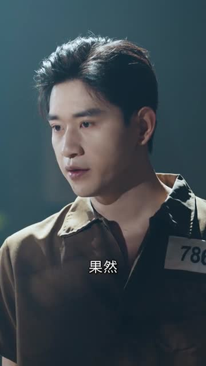宿命潜行，以身破局（80集）短剧推荐更新中