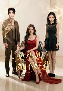 桑小姐她不好惹（103集）短剧前十排行榜