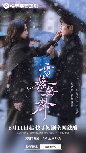 雪落无声(20集) 雪落无声(20集)全集完整版