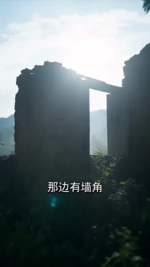 爹地，我能听懂兽语（82集）悬疑短剧推荐