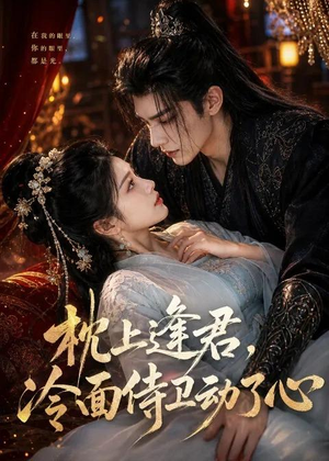 枕上逢君，冷面侍卫动了心（92集）百万短剧抢先看