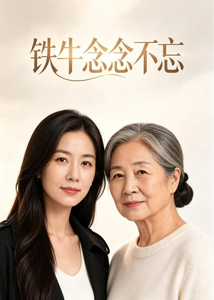 铁牛念念不忘（45集）在线看完整版