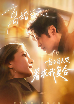 离婚当天，高冷前夫哭着求我复合（77集）免费版