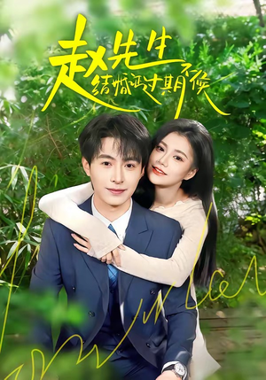 赵先生结婚证过期不候（50集）温柔追捕短剧