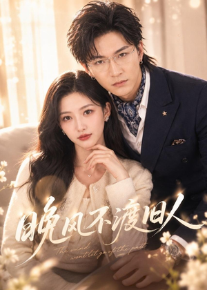 晚风不渡旧人（34集）免费在线看全集
