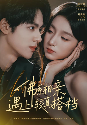 佛系相亲，遇上较真搭档（91集）在线看免费版