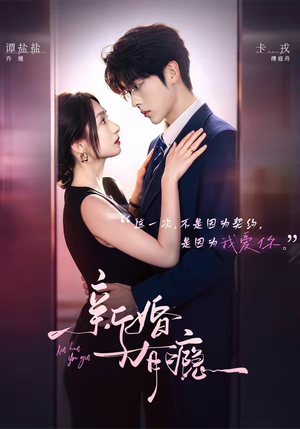 新婚有瘾（83集）在线观看
