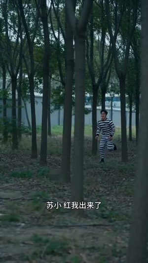 致命重生：步步为营（73集）短剧精彩片段