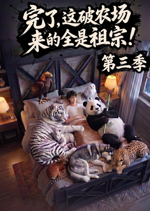 完了，这破农场来的全是祖宗！第三季（100集）短剧完整版免费